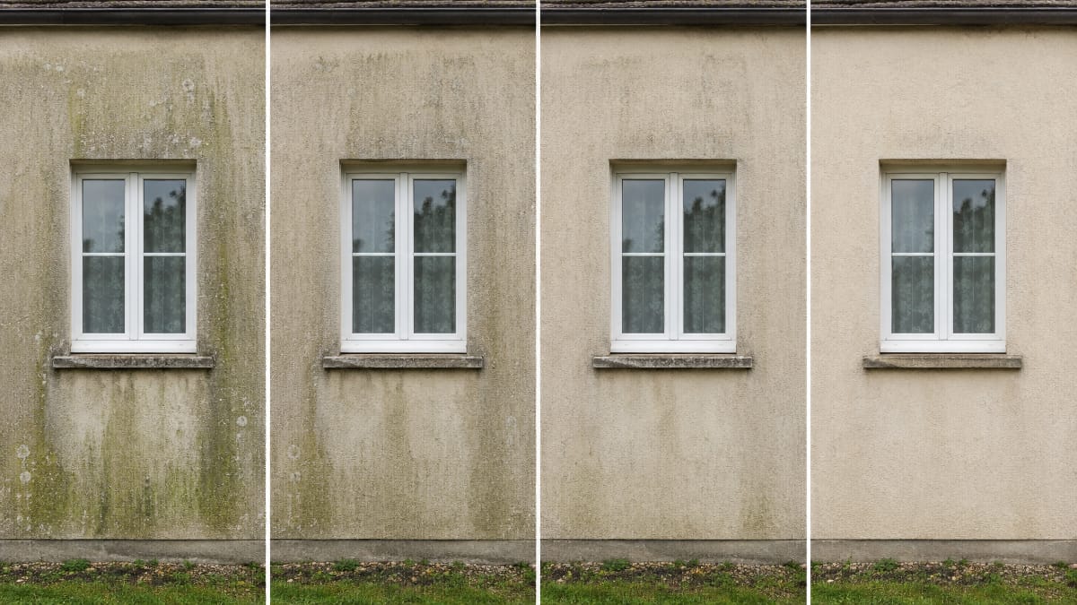 Évolution progressive d’une même façade contaminée après un traitement anti-mousse, de la façade verte au résultat nettoyé