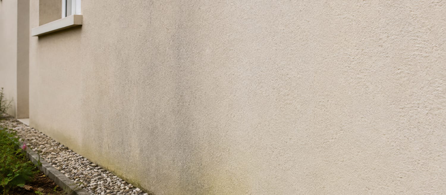 Façade en crépi légèrement encrassée avec des traces noires et une zone de mousse près du sol