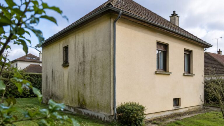 Quand nettoyer sa façade de Maison présentant des verdissures